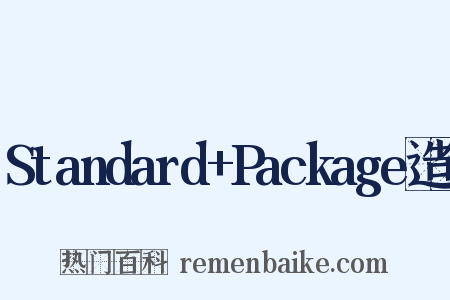 Standard+Package造句是什么意思的图片